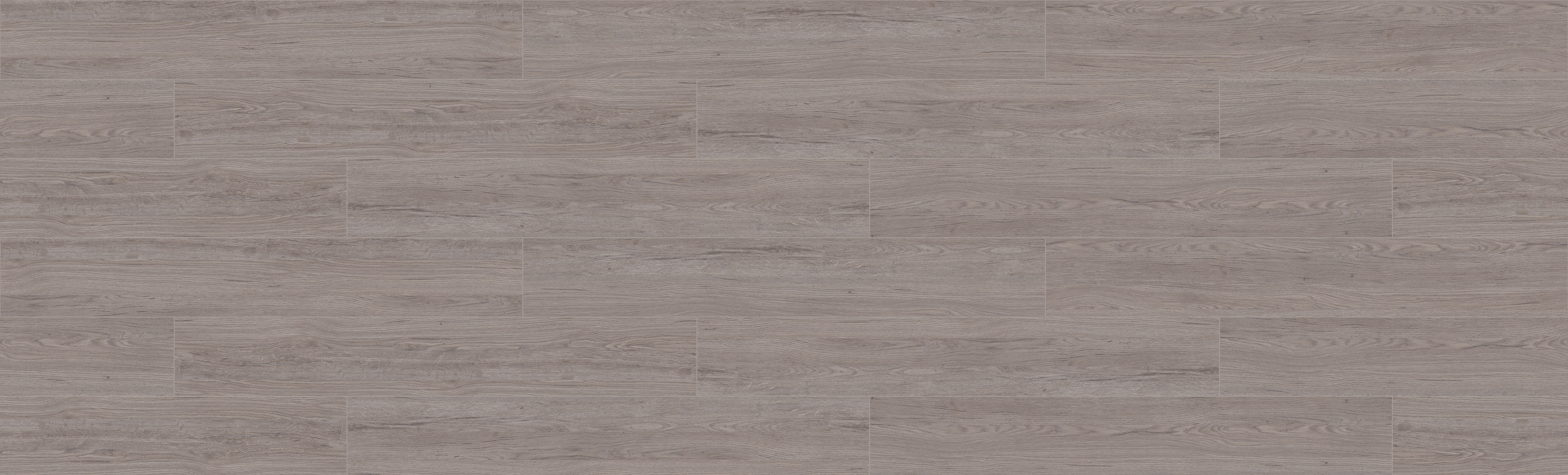 + FİONA [T_95D]